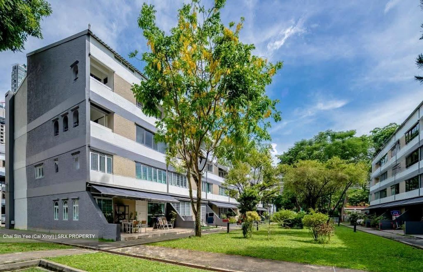 Dunearn Road (D11), Condominium #611526791